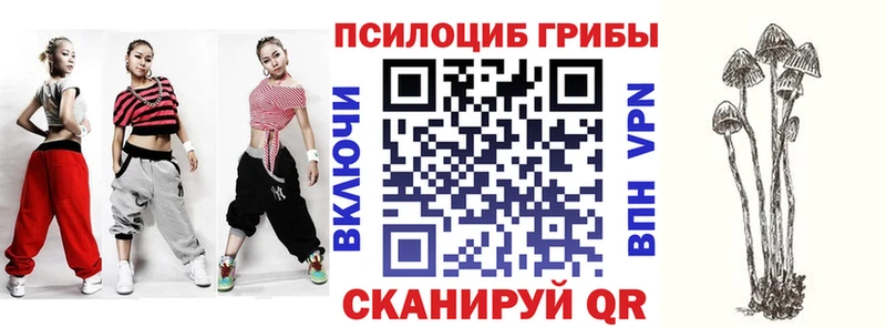Псилоцибиновые грибы Psilocybine cubensis  мега   Баксан 