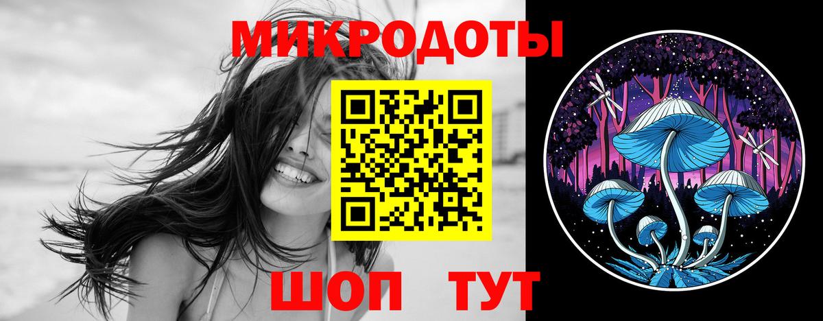 Галлюциногенные грибы Cubensis  Вход с VPN  Баксан 